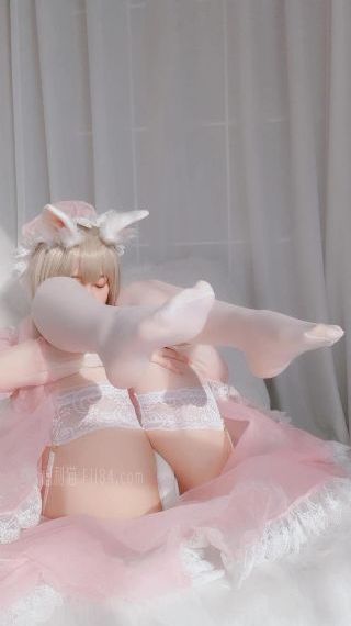 封神榜电视剧免费观看完整版