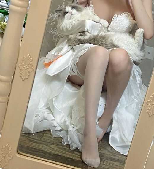特工电影在线观看高清完整版免费