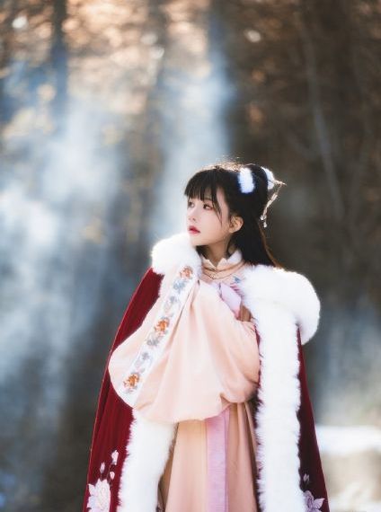 全职法师在线观看免费完整版
